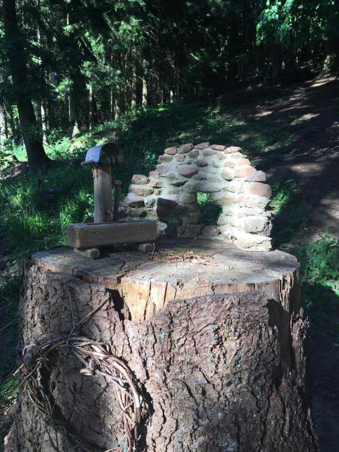 Waldnest Odenwald Wald-Michelbach Exterior foto