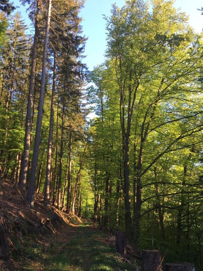 Waldnest Odenwald Wald-Michelbach Exterior foto