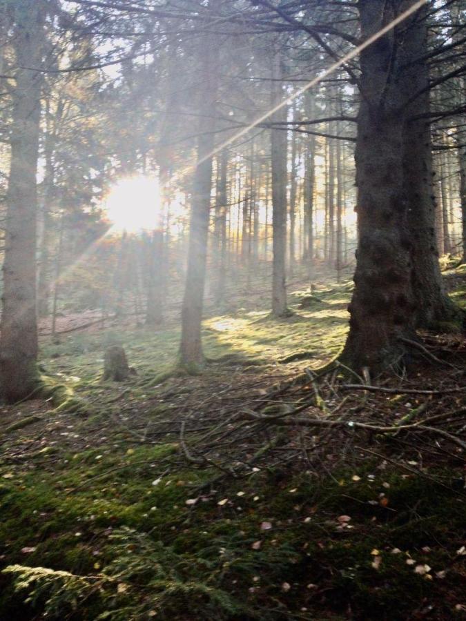 Waldnest Odenwald Wald-Michelbach Exterior foto