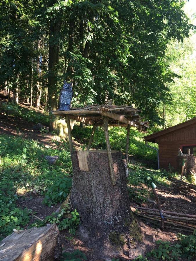 Waldnest Odenwald Wald-Michelbach Exterior foto